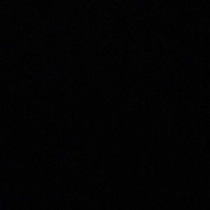 Meet your Posher, Logan